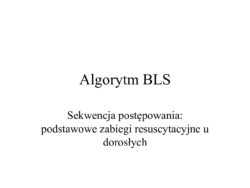 Algorytm BLS on line 1 2018 03 22.pdf